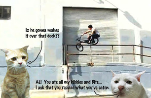 Albert going big with a t-bogger, while his worried friends wonder where dinner went...