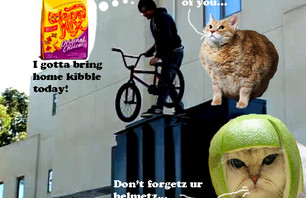 Albert\'s Shred Market!