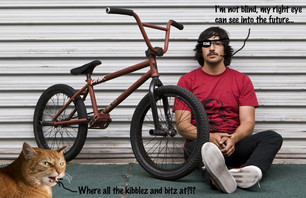 Blind As A House Cat?