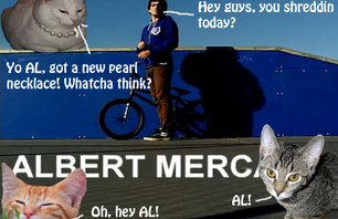Dang, that's a big house cat... Oh wait, that's just AL!   YEAH AL!!