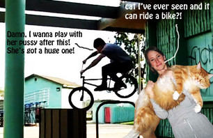 Albert Mercado: Not Your Typical House cat!