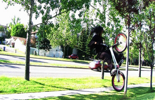 Fakie wall on a slim tree for the banger!