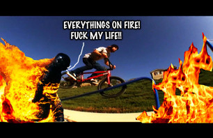 SHRED INCINERATION.