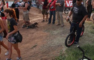 TEXAS TOAST JAM GALLERY by chad treanor Photo 0005