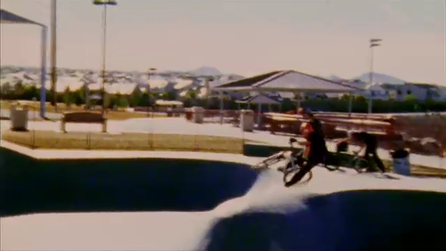 Vegas 20 Inch Park Session