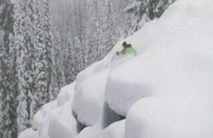 Tanner Hall Wrap Up
