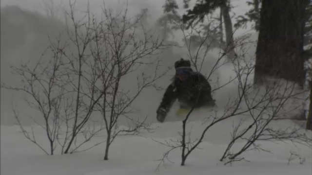 Swedish Posse Comes to Jackson Hole