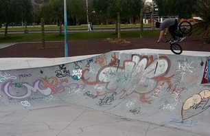 BMX - woozybmx.com Photo 0087
