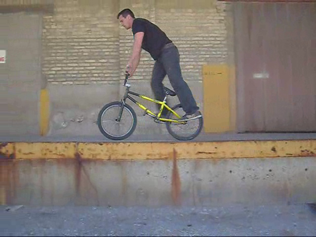 TIM KNOLL VIDEO