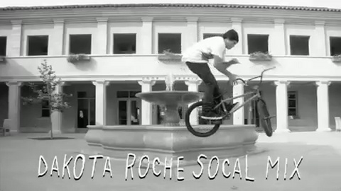 DAKOTA ROCHE SOCAL LEVIÂ´S MIX
