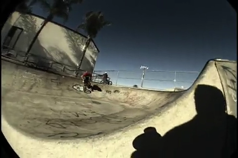 DAKOTA ROCHE CULT CLIP