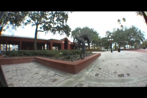 MADERA MIX CLIP