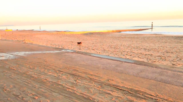 ASHLEY CHARLES ECLAT BEACH VIDEO