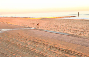 ASHLEY CHARLES ECLAT BEACH VIDEO