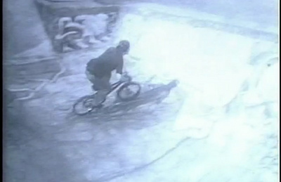 VAN HOMAN LDVL CRIMINAL MISCHIEF VIDEOPART