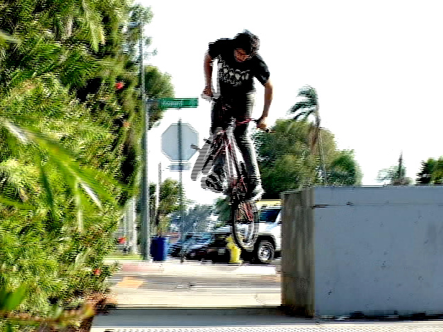 LOTEK ALBERT MERCADO