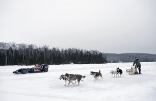 Six dog power...versus 10 Cosworth pistons. If the course was tight or rough, the dogs would take it
