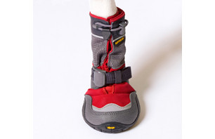 Dog Boot