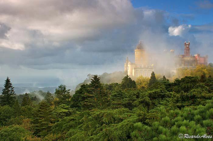 Bouldering the Magical Forest of Sintra, Portugal