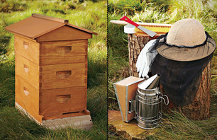 Backyard Beehive