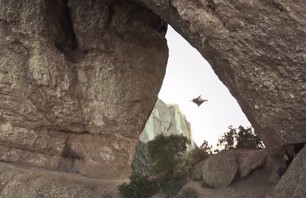 Watch Unbelievable Wingsuit Cave Flight! Batman Cave, Alexander Polli