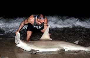 Watch Fisherman Reel in Two Huge Hammerhead Sharks onto Beach