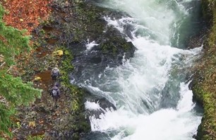 Patagonia Film Champions Sustainability