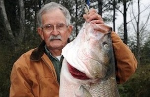 Angler Catches World Record Striped Bass in Alabama