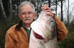 Angler Catches World Record Striped Bass in Alabama
