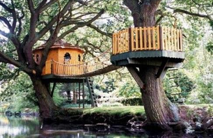 17 Insanely Made Treehouses