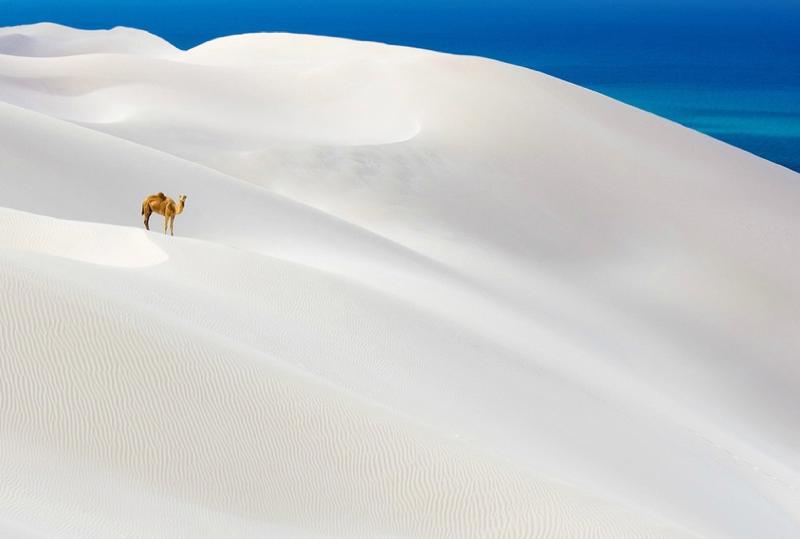 14 Amazing Landscapes