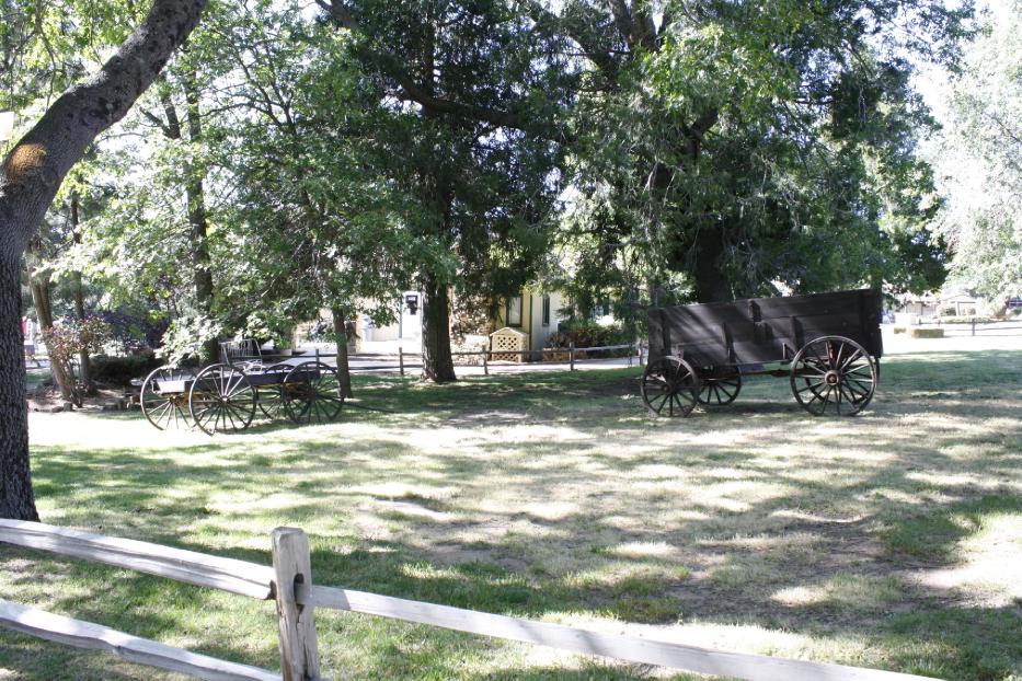 Welcome to KQ Ranch