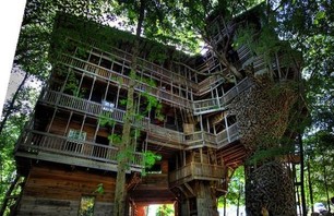 The Minister’s Treehouse Photo 0001