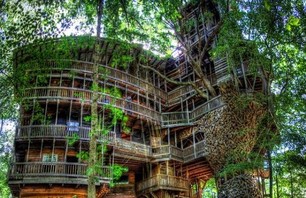 The Minister’s Treehouse Photo 0003