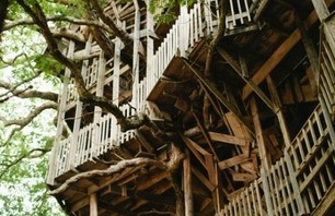 The Minister’s Treehouse Photo 0005