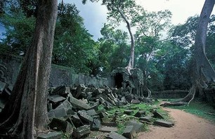 Abandoned Ta Prohm Temple in Middle of Jungle Photo 0008