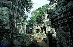 Abandoned Ta Prohm Temple in Middle of Jungle Photo 0011