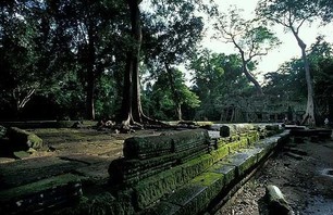 Abandoned Ta Prohm Temple in Middle of Jungle Photo 0014