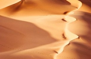 Namib Desert Dunescapes Photo 0010