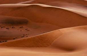 Namib Desert Dunescapes Photo 0011