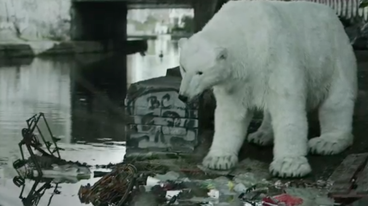 Video of the Day: A Homeless Polar Bear in London