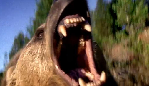 Video of the Day: Hello, Trouble