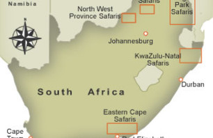 Week Trip: South African Safari and Football