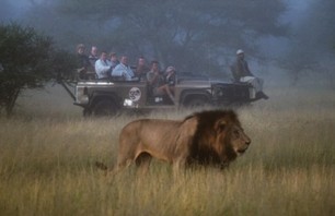 Week Trip: South African Safari and Football