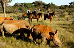 Week Trip: South African Safari and Football