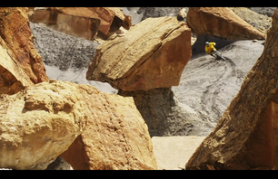 'Life Cycles' Trailer & DVD Update