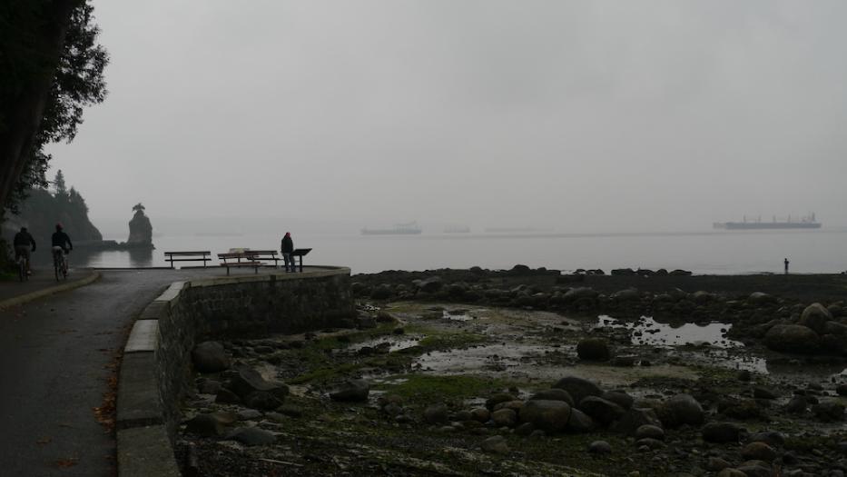 Vancouver via Bike and Kayak