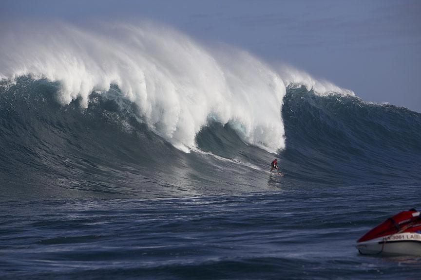 Jaws Gallery!