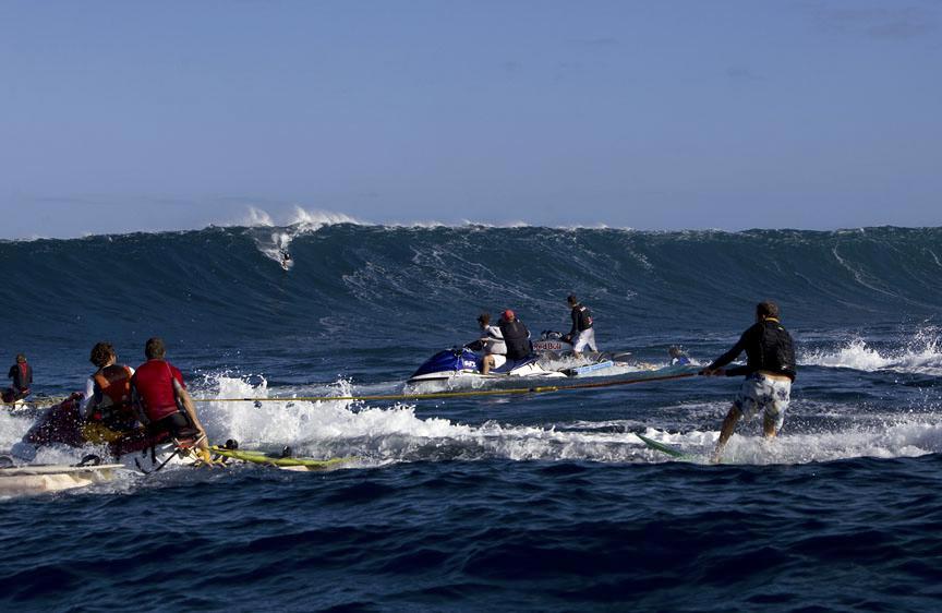 Jaws Gallery!