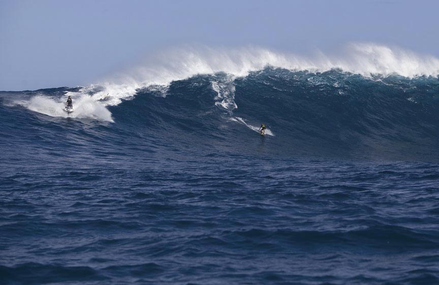 Jaws Gallery!